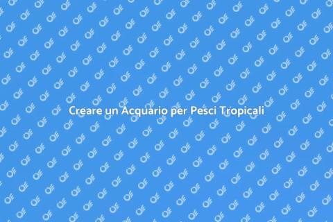 Un Acquario per Pesci Tropicali
