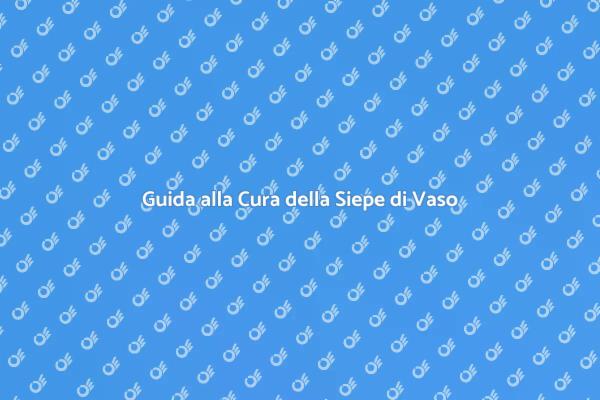 Come Mantenere una Siepe di Vaso