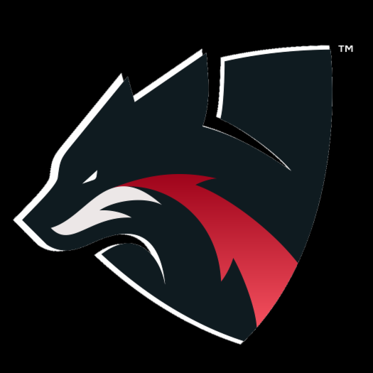Black Fox Self-Defense di Alessandro Diglio - Foto 1