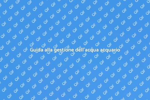 Prevenire problemi acqua acquario marino