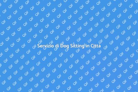 Dog Sitting Professionale in Città