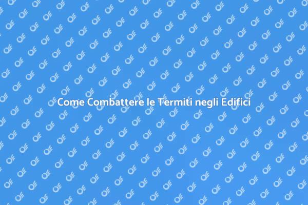 Combatti le Termiti nei Tuoi Edifici