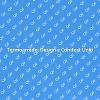 Termoarredo: Innovazione e Design