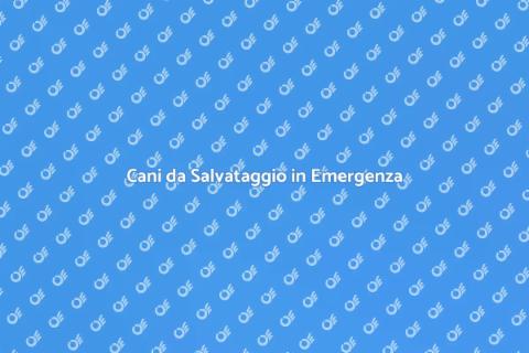 Allenamento Cani Disaster Response