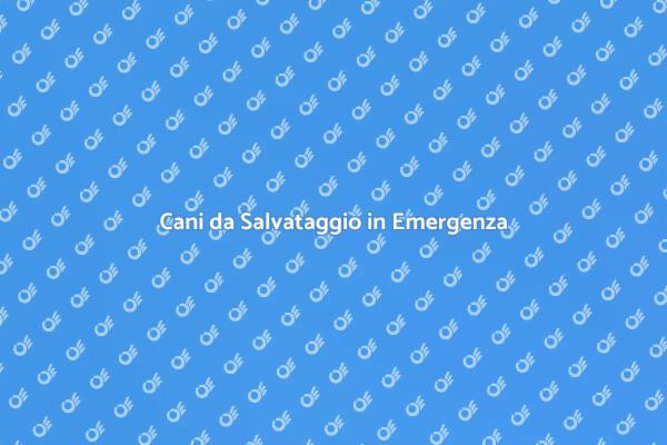 Eroi a Quattro Zampe: Cani da Salvataggio