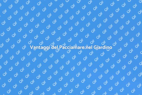 Pacciamare: Tutto ciò che Devi Sapere
