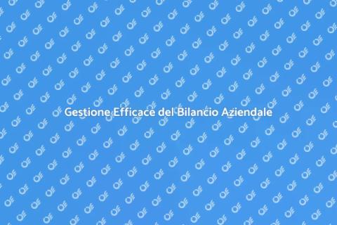 Controllo del Bilancio Aziendale
