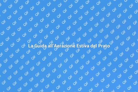 Aerare il Prato in Estate