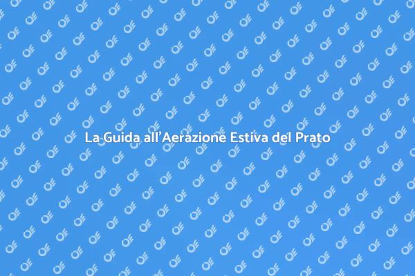 Prato Sano: Aerazione Estiva Essenziale