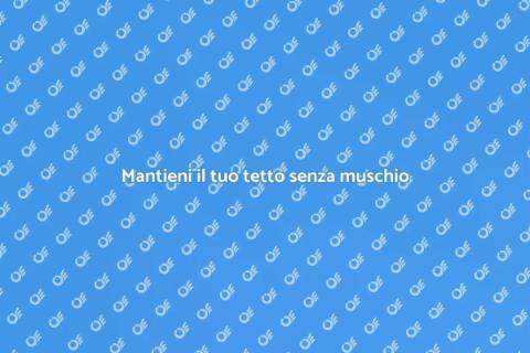 Rimozione muschio tetto per casa sana