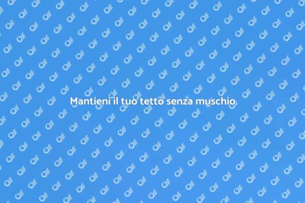 Rimuovi il muschio per un tetto sano