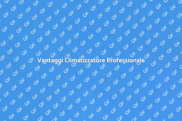 Perché Scegliere un Climatizzatore Professionale