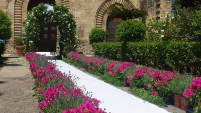Flowers  - Foto 5