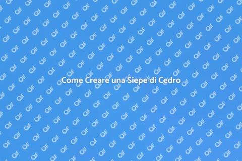 Siepe di Cedro: Eleganza e Privacy