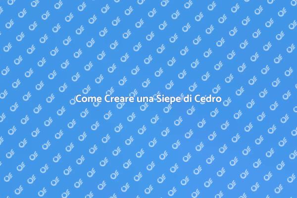 Siepe di Cedro: Guida alla Progettazione