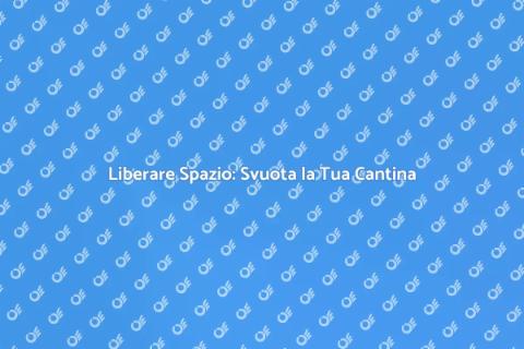 Svuotare Cantine in Modo Professionale