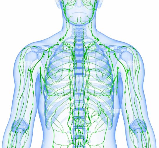 Fisioterapia  - Foto 1