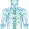 Fisioterapia 