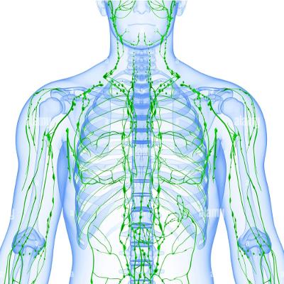 Fisioterapia 