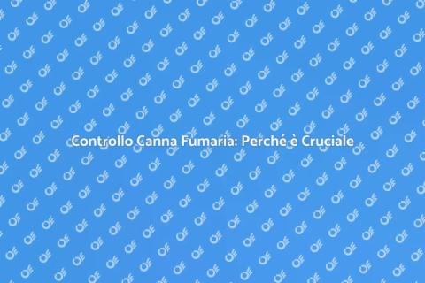 Ispezione Canna Fumaria: Sicurezza Casa
