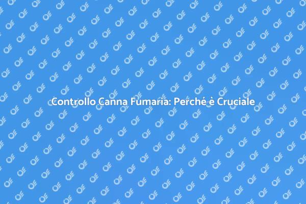 Controlla la Canna Fumaria per Sicurezza