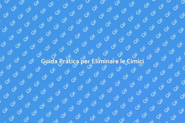 Come Eliminare le Cimici in Casa