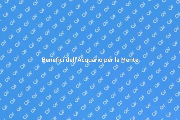 L'Oasi Ideale per la Concentrazione