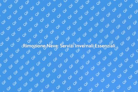 Assistenza per la Rimozione della Neve
