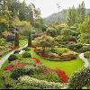 Green Garden Malaggese 