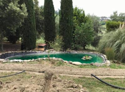 Progetto Verde  - Foto 5