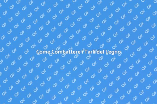 Combatti i Tarli del Legno Oggi