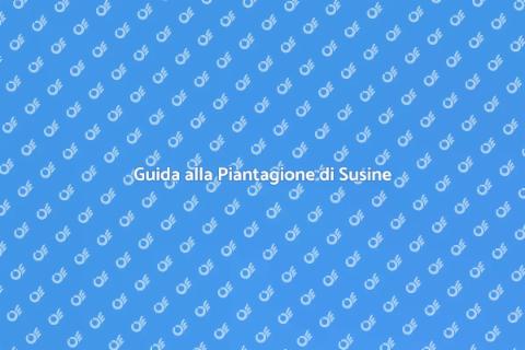 Piantare Albero di Susine: Guida