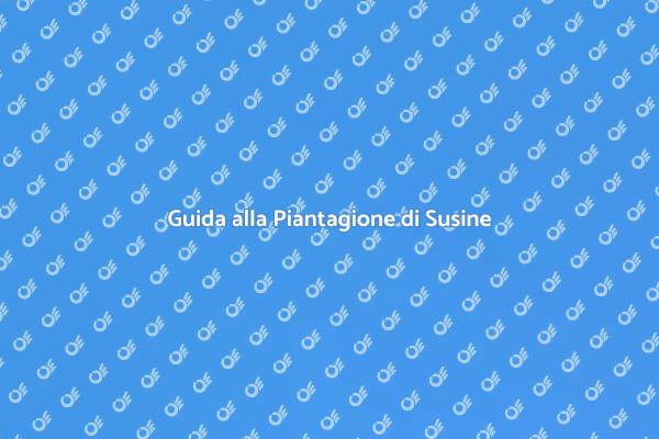 Pianta il Tuo Albero di Susine Oggi!