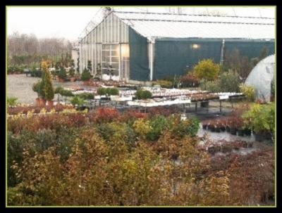 Iskra Piccola Soc. Coop. R.L.  - Foto 3