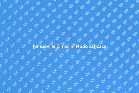 Trattamento Efficace contro le Cimici