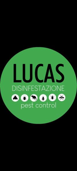 Lucas Disinfestazione  - Foto 1