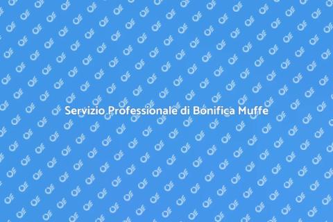Ispezione e Bonifica Muffe Casa