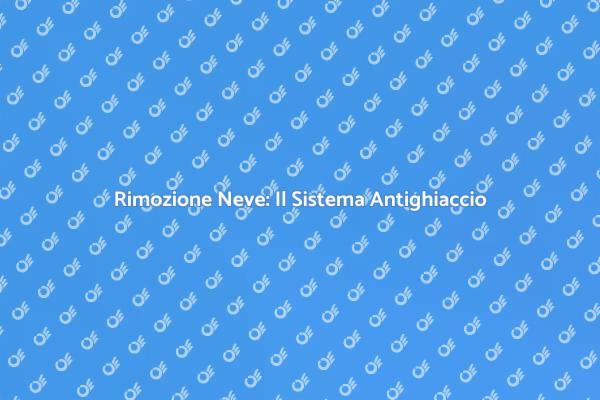 Rimozione Neve Semplificata con Antighiaccio