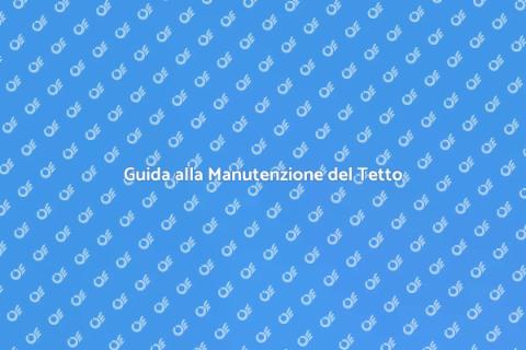 Manutenzione Tetto in Guaina Bituminosa