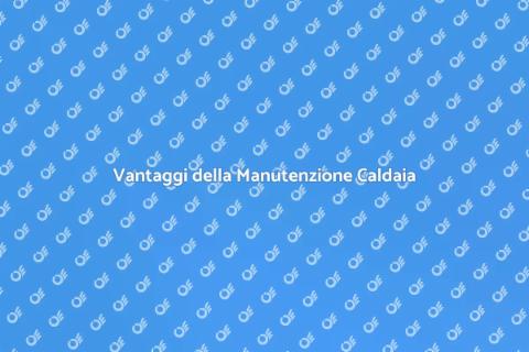 Manutenzione Caldaia a Biomassa