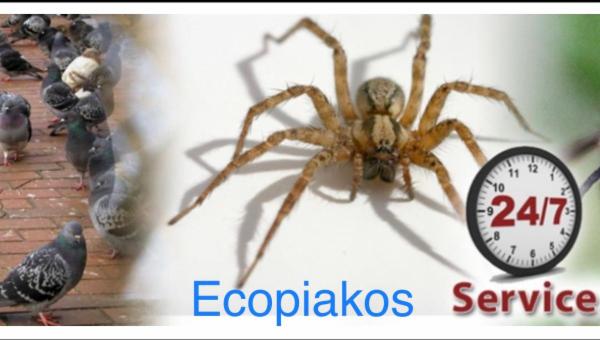Ecopiakos - Foto 4