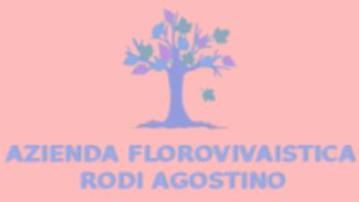 Azienda Florovivaistica Rodi Agostino di Rodi Roberto  - Foto 1