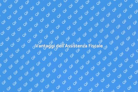 Assistenza Fiscale per Controlli