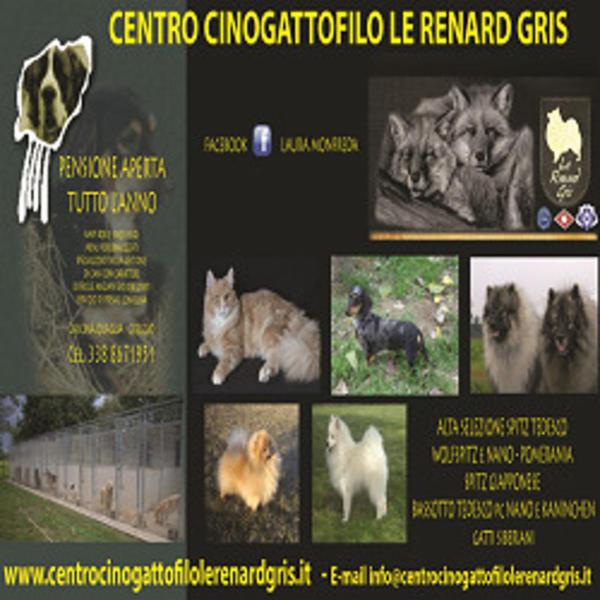 Centro Cinogattofilo Le Renard Gris  - Foto 1