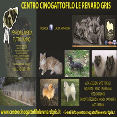 Centro Cinogattofilo Le Renard Gris