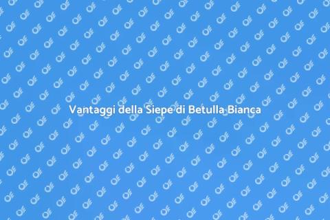 Siepe di Betulla Bianca: Bellezza e Privacy