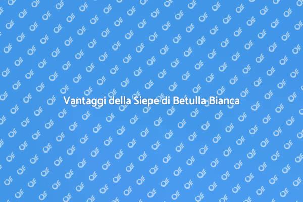 La Siepe di Betulla Bianca per il Tuo Giardino