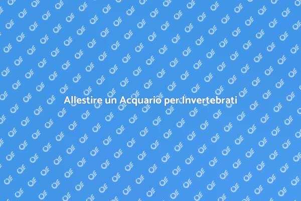 Come Creare un Acquario per Invertebrati