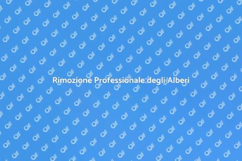 Rimozione Alberi: Liberare il Tuo Spazio