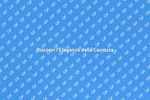 Servizio Carrozza: Eleganza e Stile